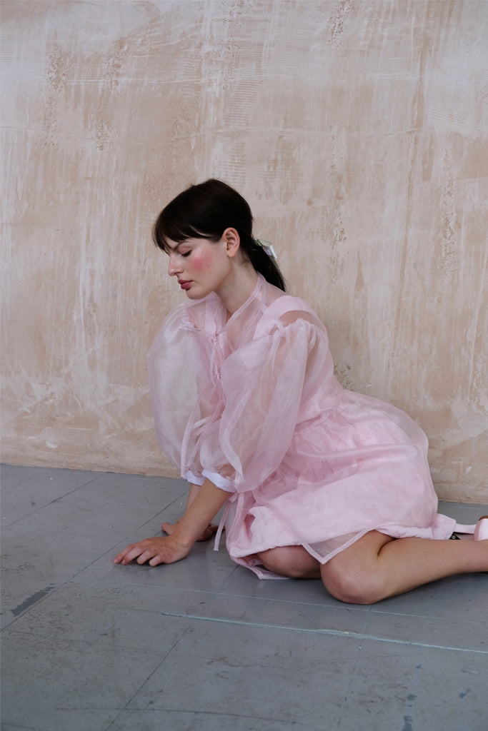 Belle Sheer Organza Dress- Pink